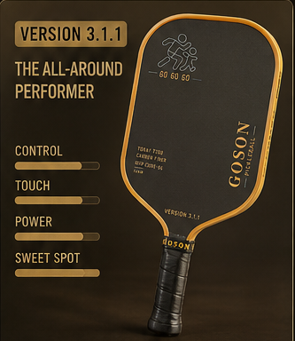 Version 3.1.1